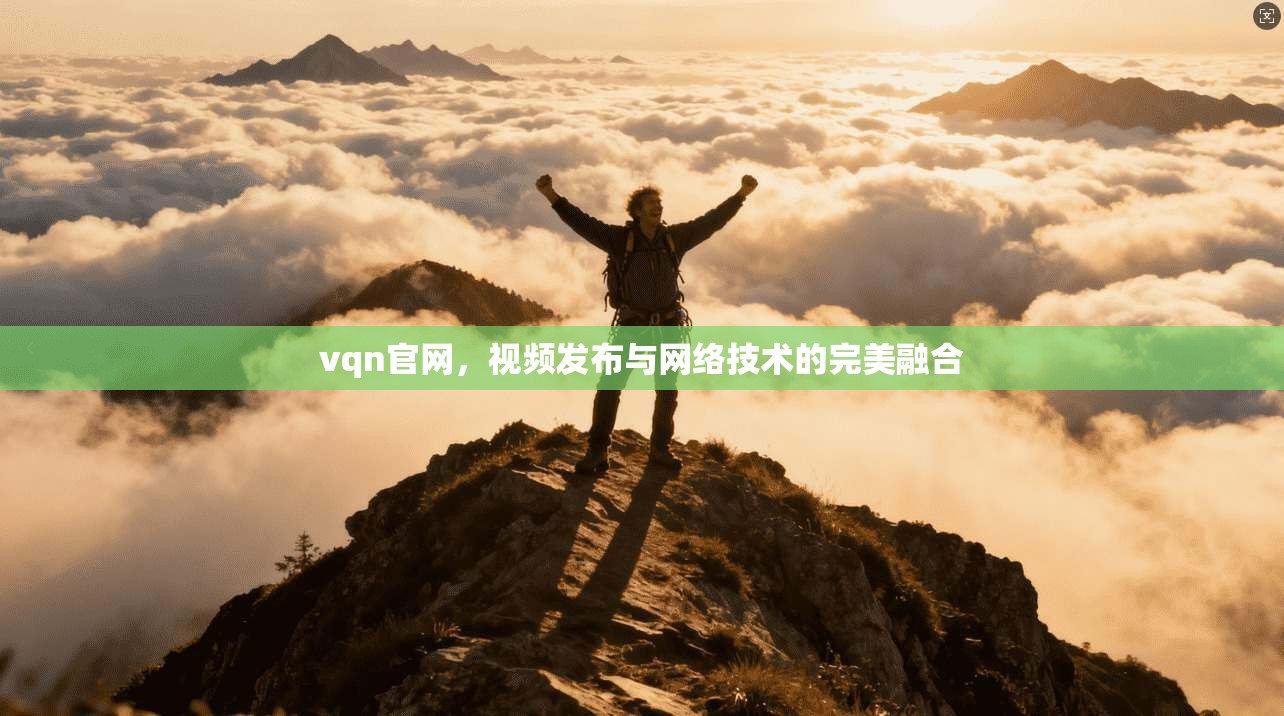 vqn官网，视频发布与网络技术的完美融合  第1张