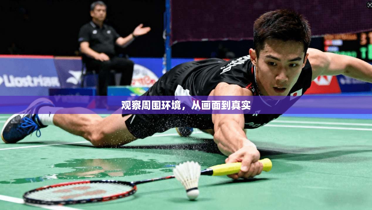 观察周围环境，从画面到真实  第1张