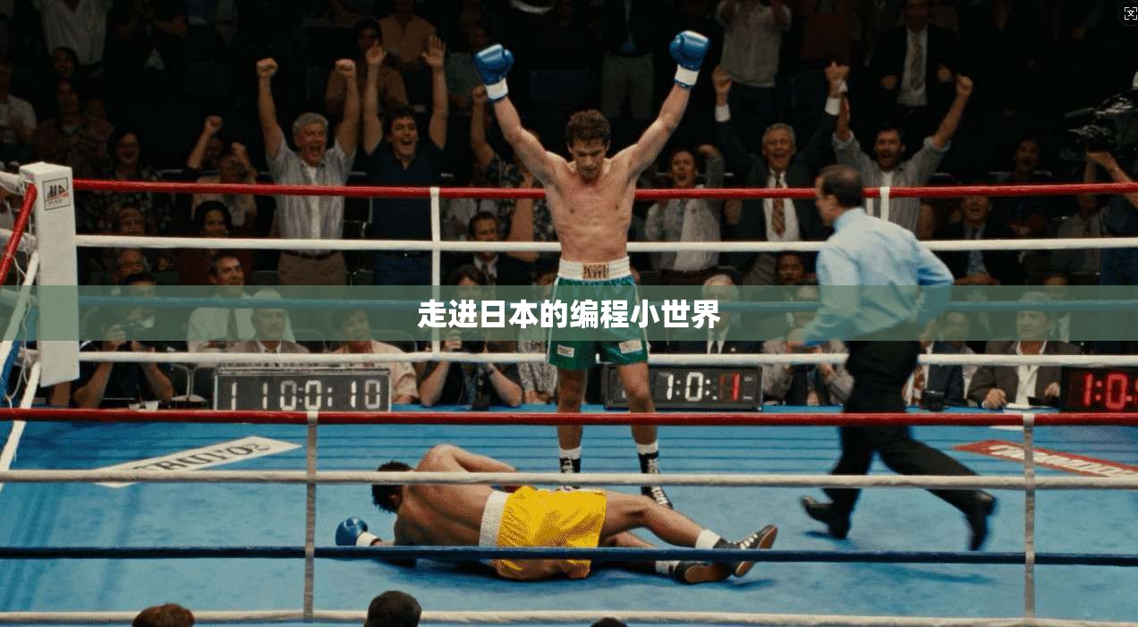 走进日本的编程小世界 第1张 走进日本的编程小世界 第1张