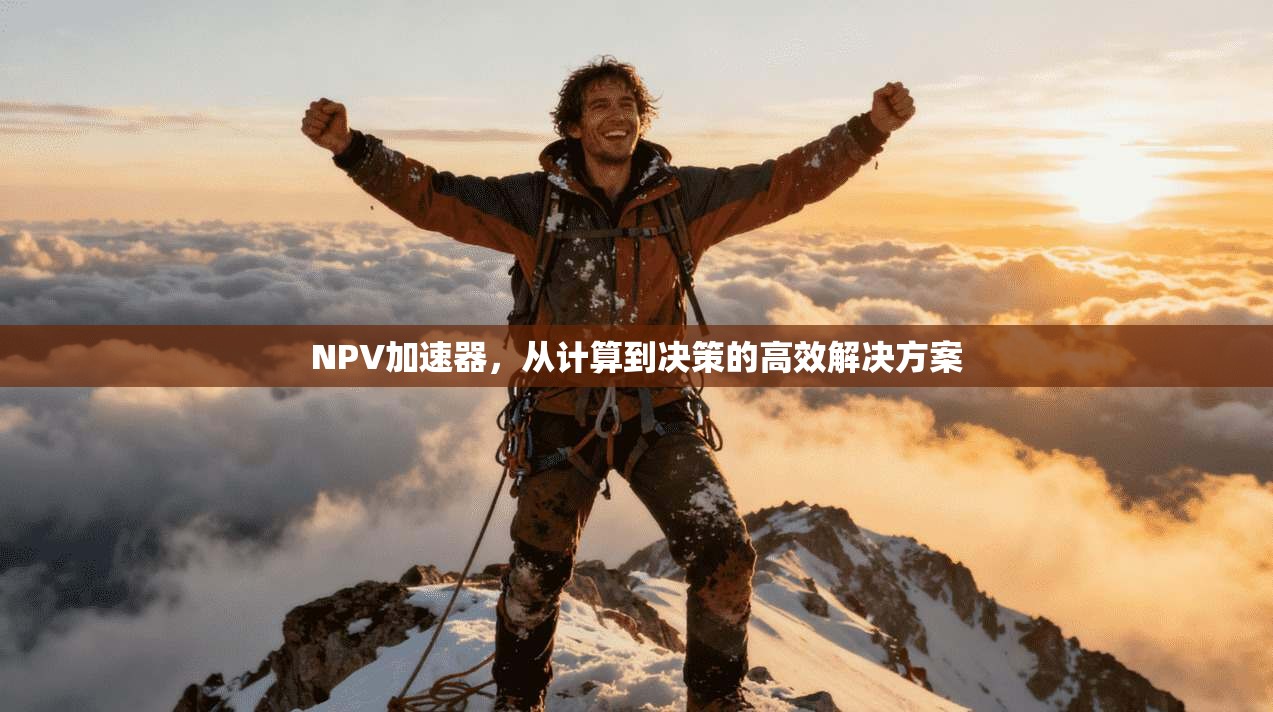 NPV加速器，从计算到决策的高效解决方案  第1张