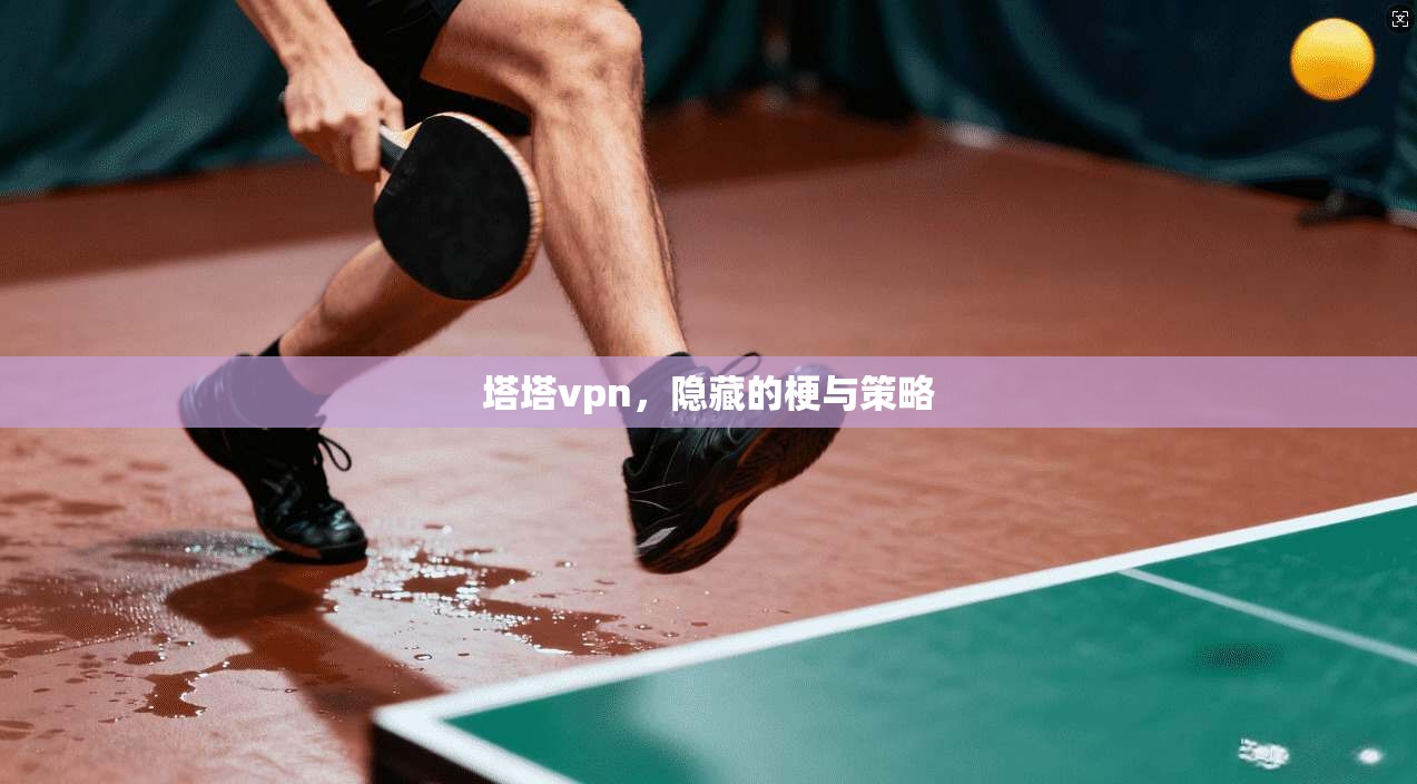 塔塔vpn，隐藏的梗与策略  第1张