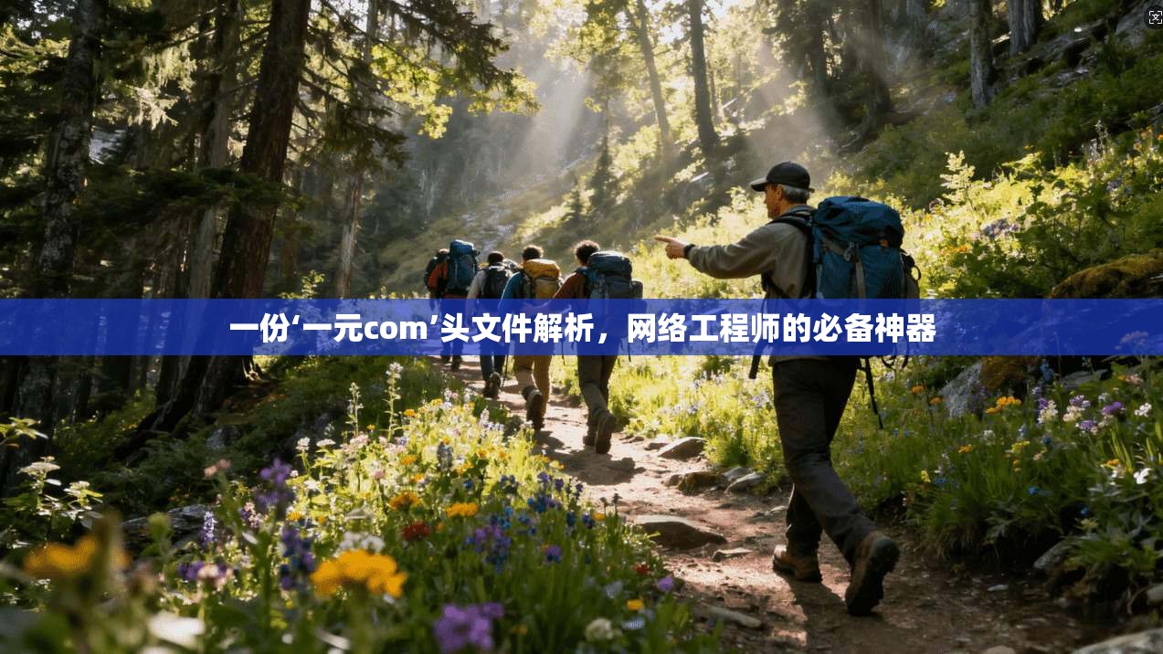 一份‘一元com’头文件解析,网络工程师的必备神器 第1张 一份‘一元com’头文件解析,网络工程师的必备神器 第1张