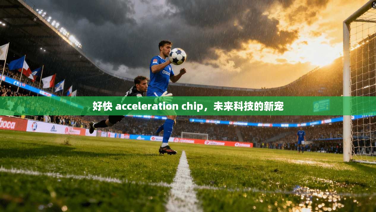 好快 acceleration chip,未来科技的新宠 第1张 好快 acceleration chip,未来科技的新宠 第1张