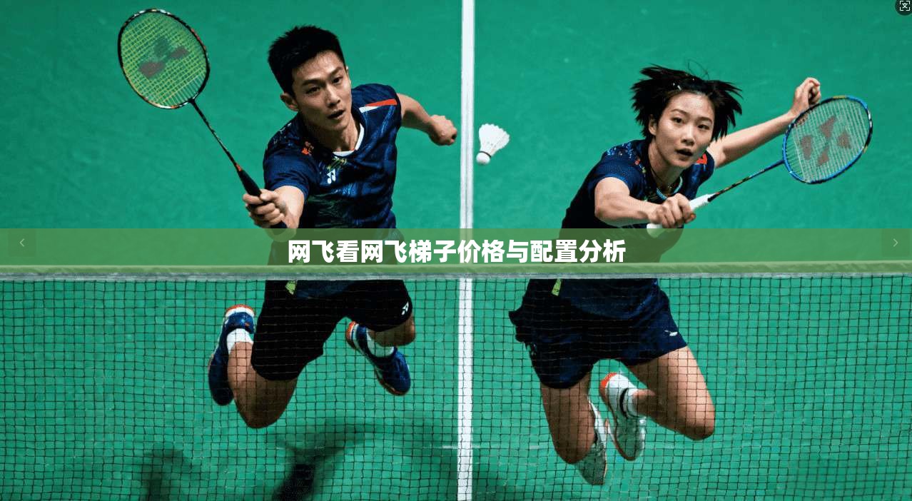 网飞看网飞梯子价格与配置分析 第1张 网飞看网飞梯子价格与配置分析 第1张