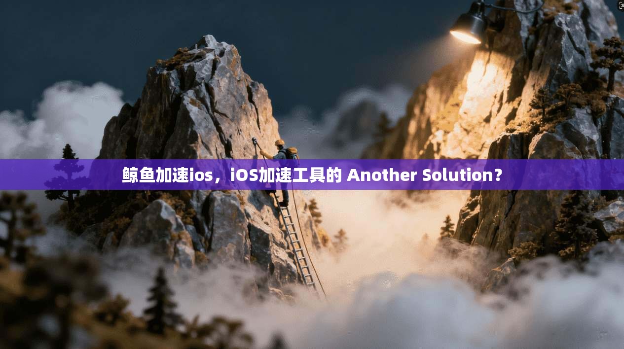 鲸鱼加速ios，iOS加速工具的 Another Solution？  第1张