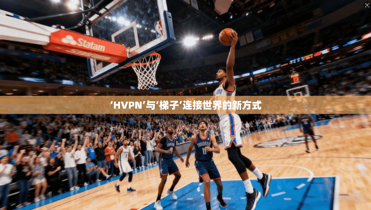 ‘HVPN’与‘梯子’连接世界的新方式  第1张