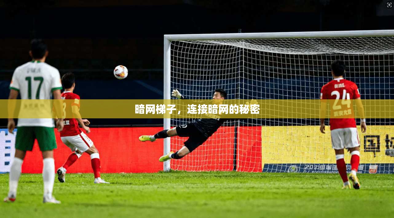 暗网梯子，连接暗网的秘密  第1张