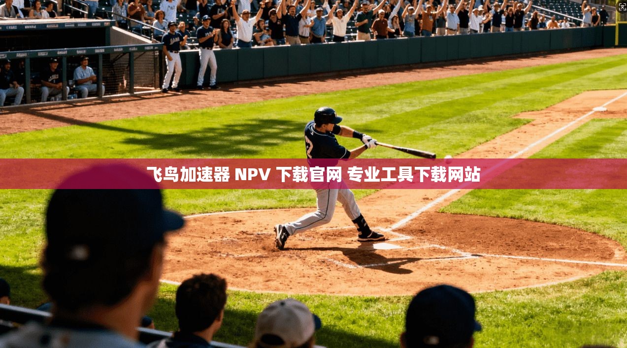 飞鸟加速器 NPV 下载官网 专业工具下载网站 第1张 飞鸟加速器 NPV 下载官网 专业工具下载网站 第1张
