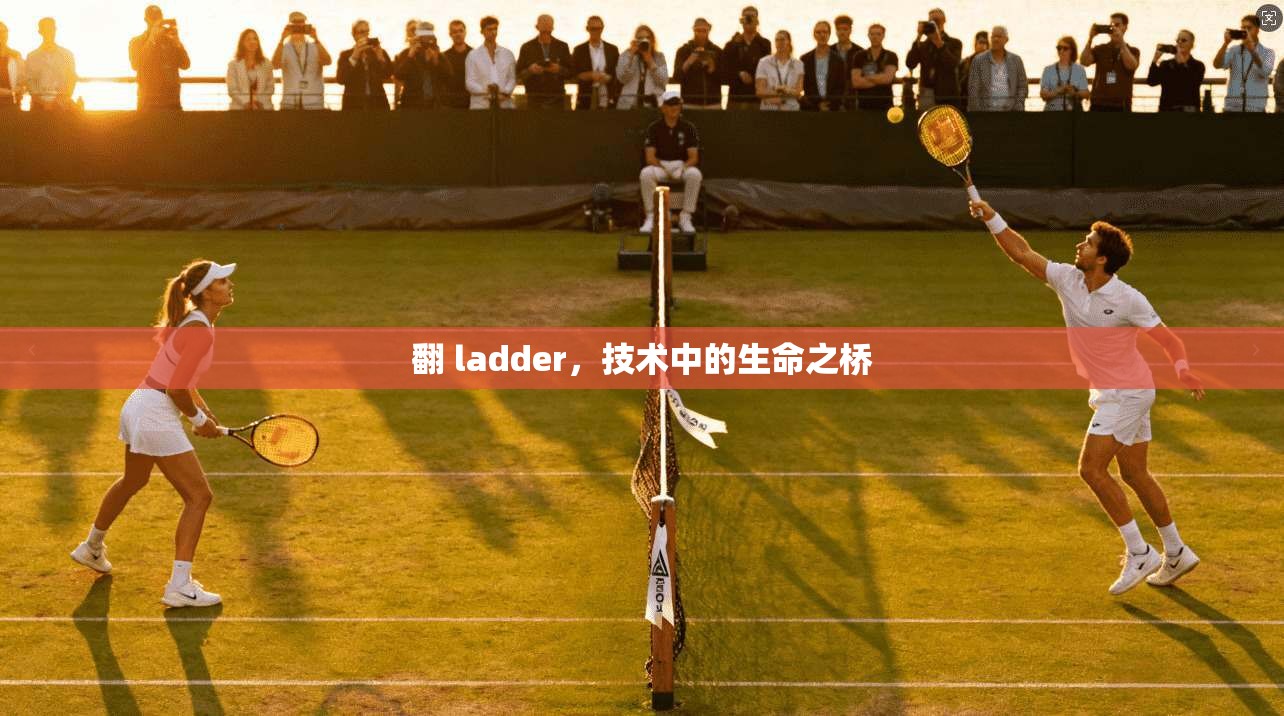 翻 ladder,技术中的生命之桥 第1张 翻 ladder,技术中的生命之桥 第1张