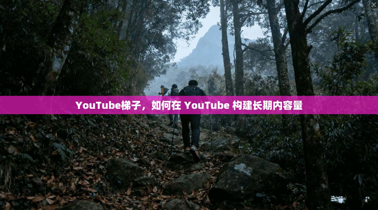 YouTube梯子,如何在 YouTube 构建长期内容量 第1张 YouTube梯子,如何在 YouTube 构建长期内容量 第1张