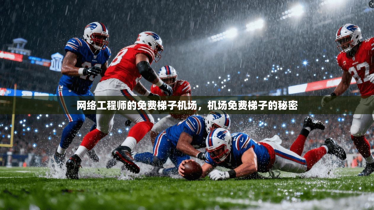 网络工程师的免费梯子机场,机场免费梯子的秘密 第1张 网络工程师的免费梯子机场,机场免费梯子的秘密 第1张