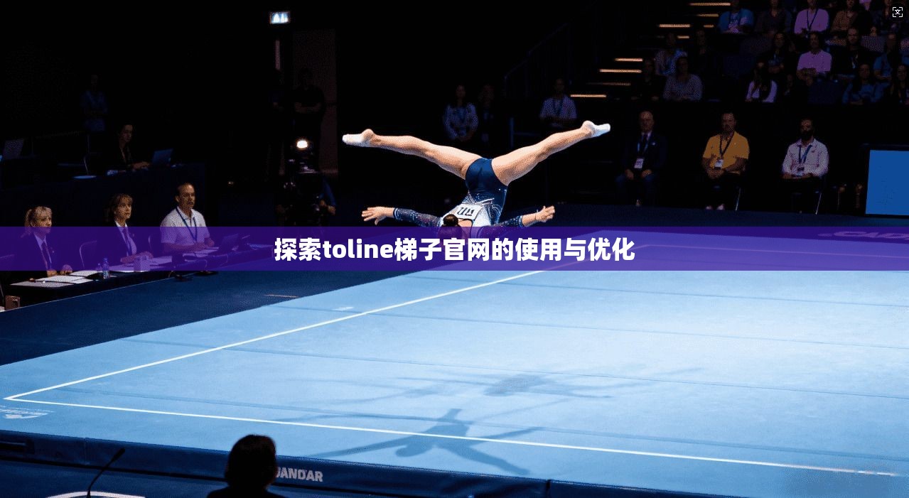 探索toline梯子官网的使用与优化 第1张 探索toline梯子官网的使用与优化 第1张