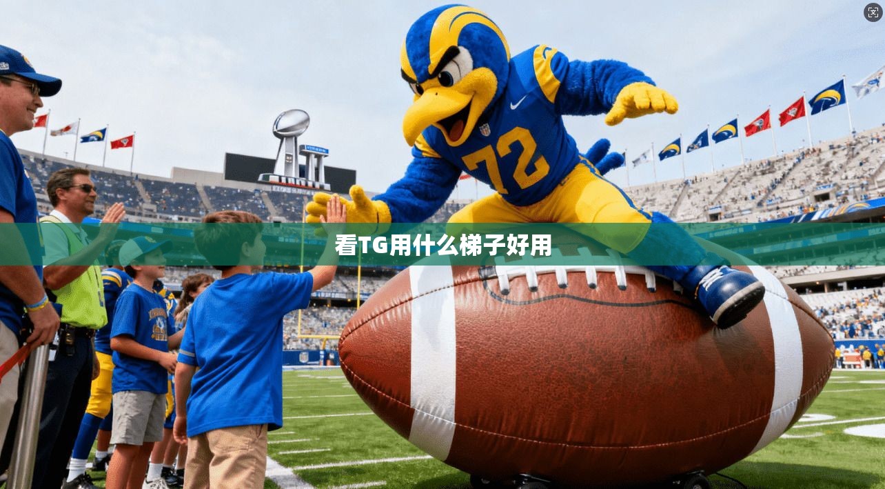 看TG用什么梯子好用 第1张 看TG用什么梯子好用 第1张