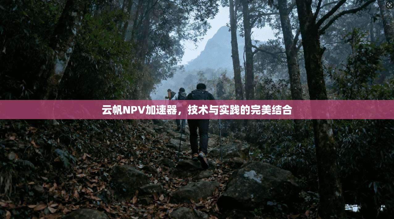 云帆NPV加速器，技术与实践的完美结合  第1张