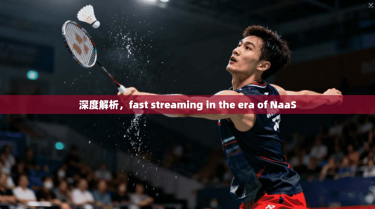 深度解析，fast streaming in the era of NaaS  第1张