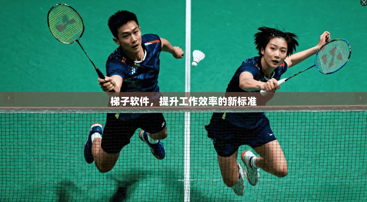 梯子软件，提升工作效率的新标准  第1张