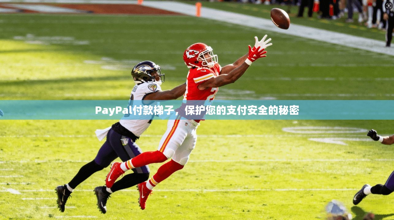 PayPal付款梯子，保护您的支付安全的秘密  第1张