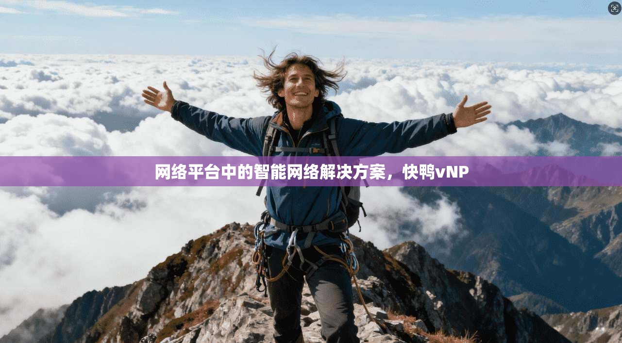 网络平台中的智能网络解决方案，快鸭vNP  第1张