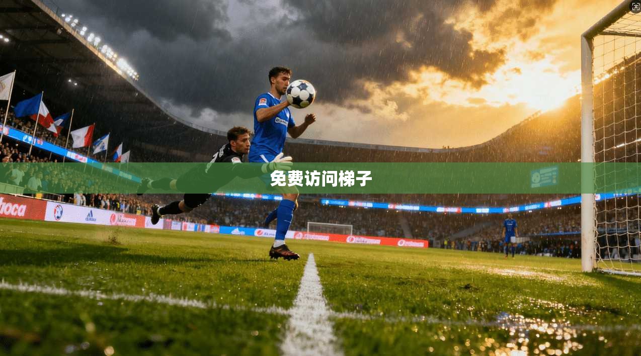 免费访问梯子  第1张