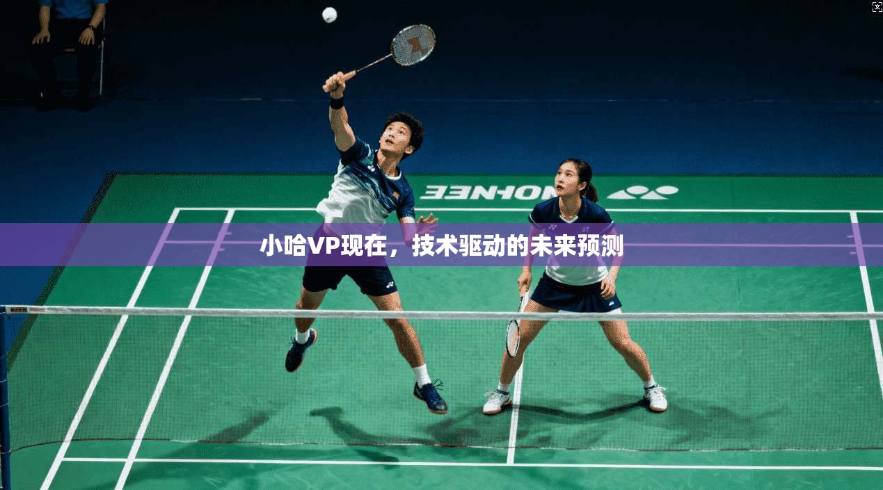 小哈VP现在，技术驱动的未来预测  第1张