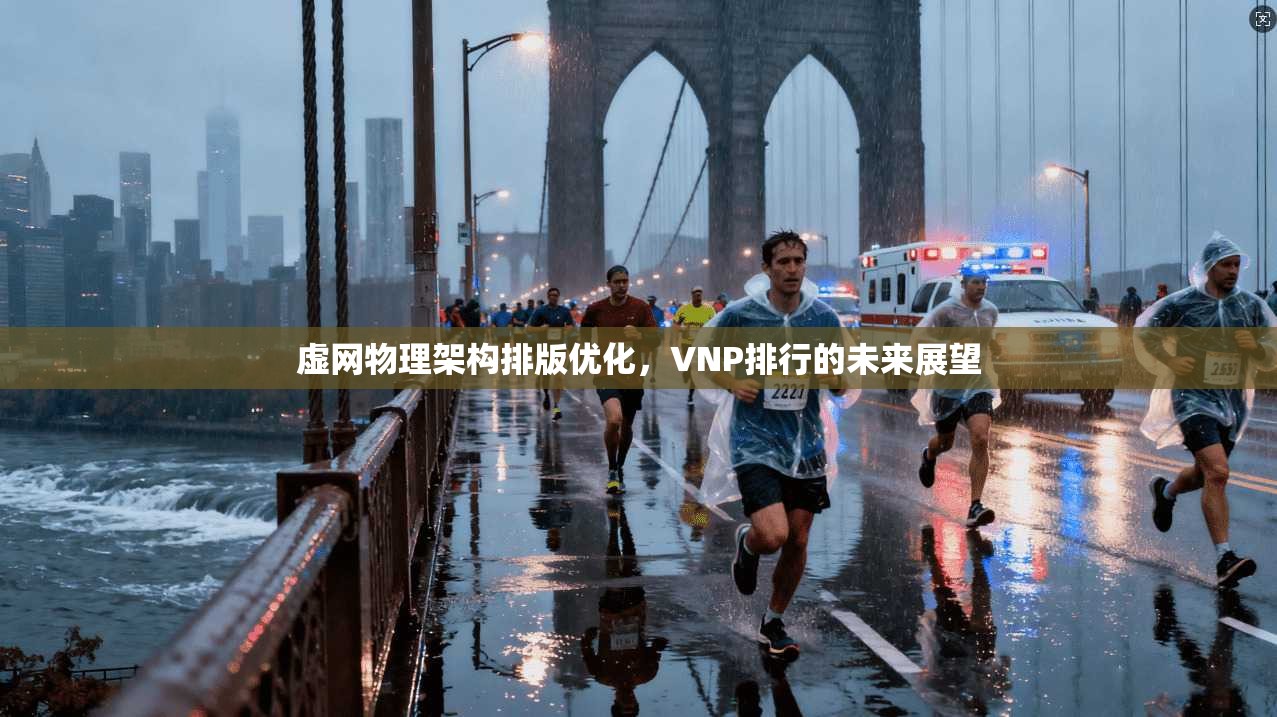 虚网物理架构排版优化，VNP排行的未来展望  第1张