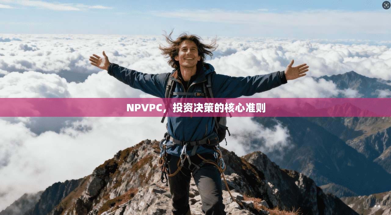 NPVPC，投资决策的核心准则  第1张