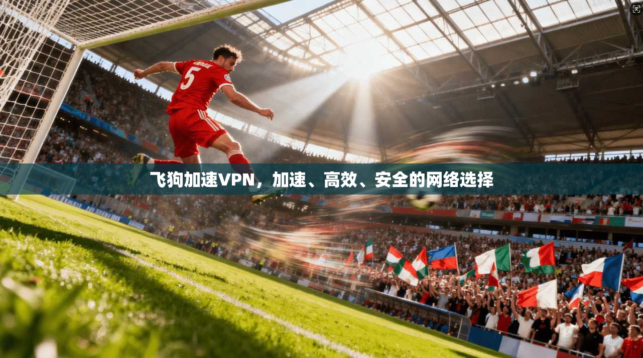 飞狗加速VPN，加速、高效、安全的网络选择  第1张