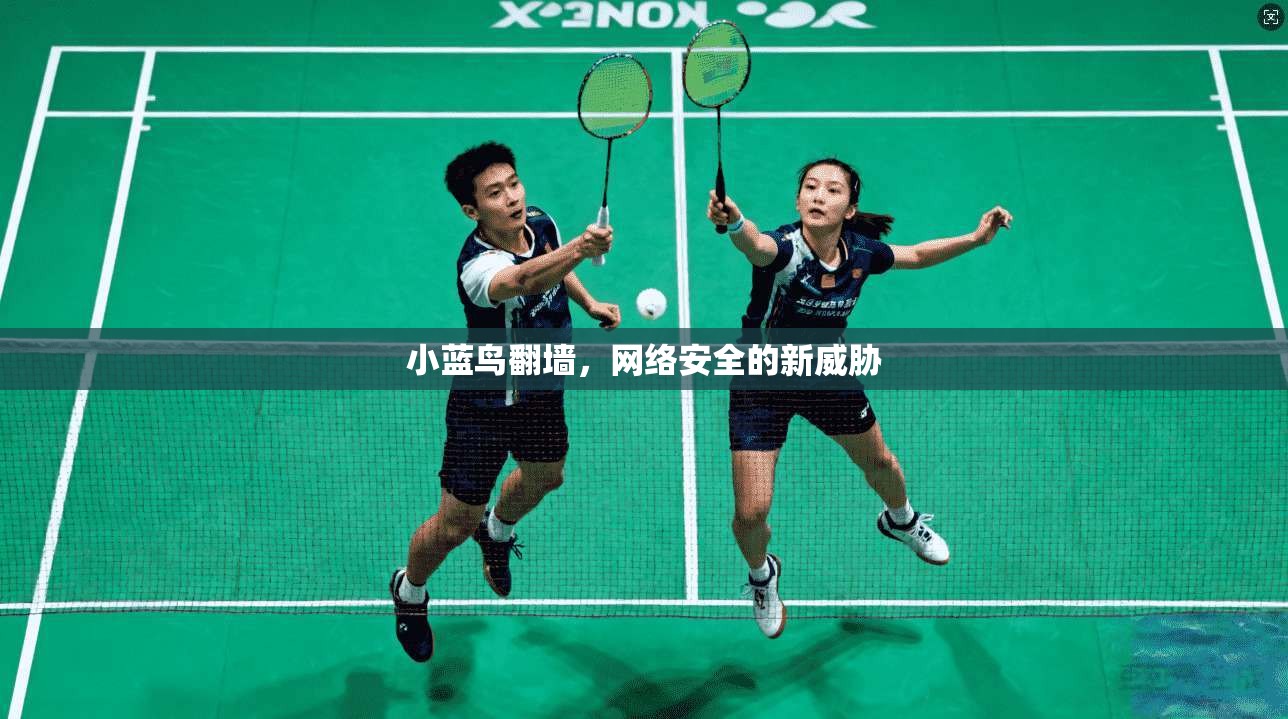 小蓝鸟翻墙，网络安全的新威胁  第1张