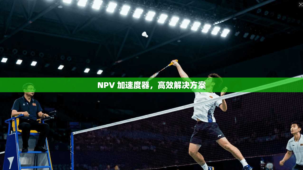 NPV 加速度器，高效解决方案  第1张