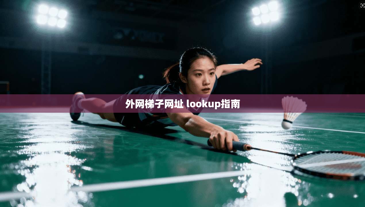 外网梯子网址 lookup指南  第1张