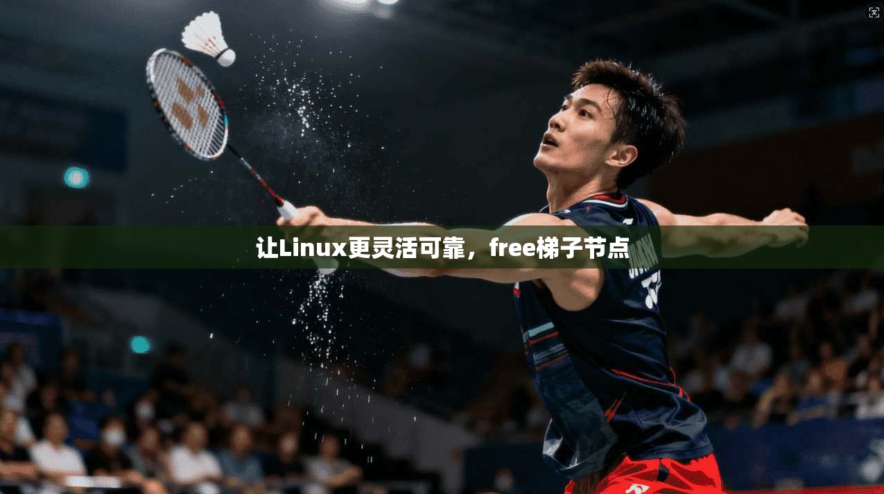 让Linux更灵活可靠，free梯子节点  第1张