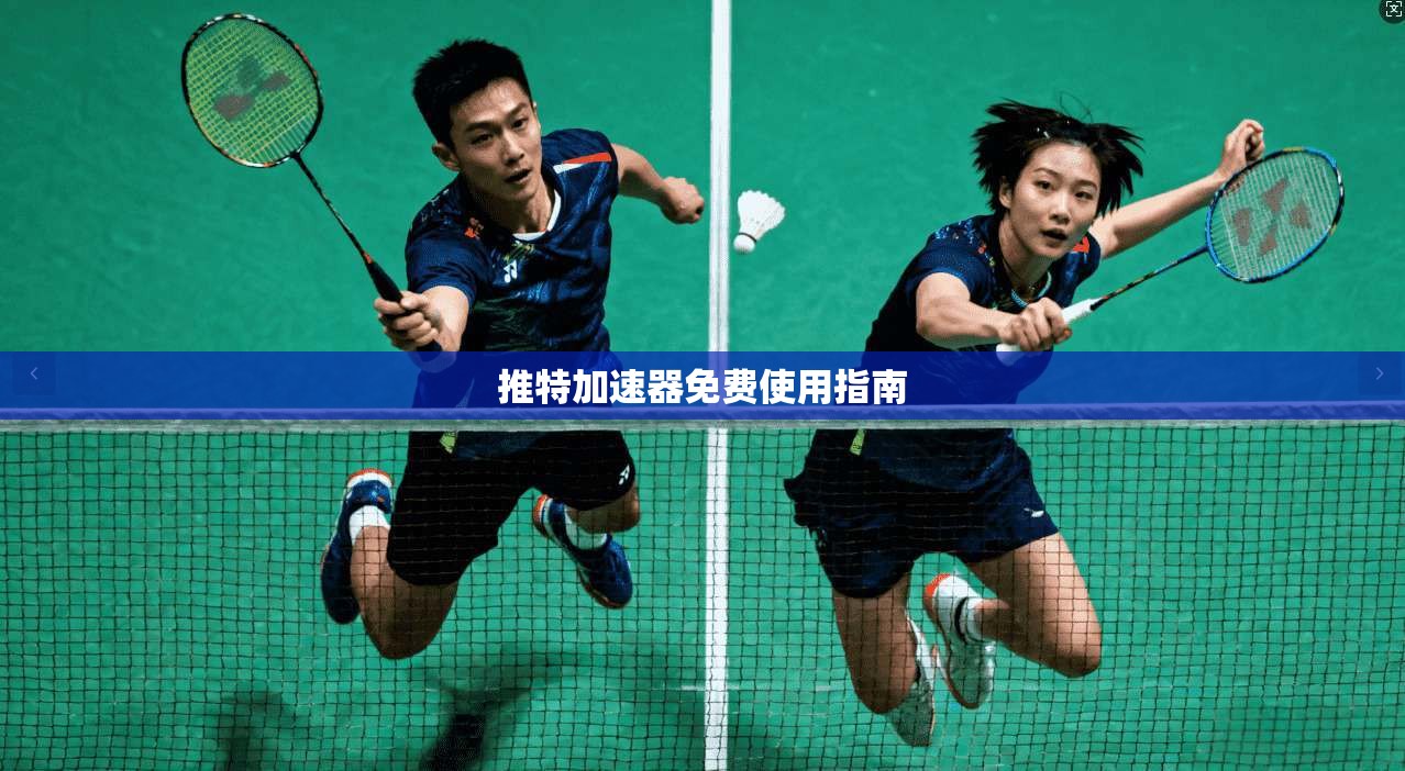 推特加速器免费使用指南  第1张