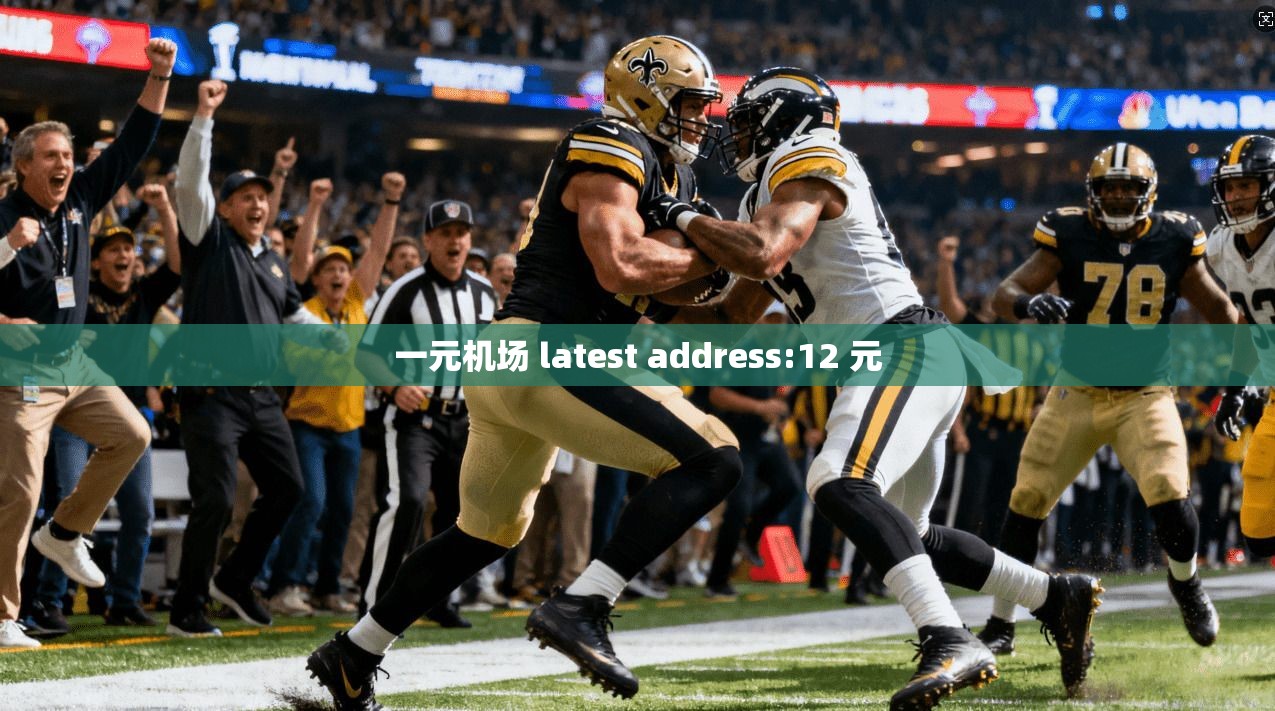 一元机场 latest address:12 元  第1张