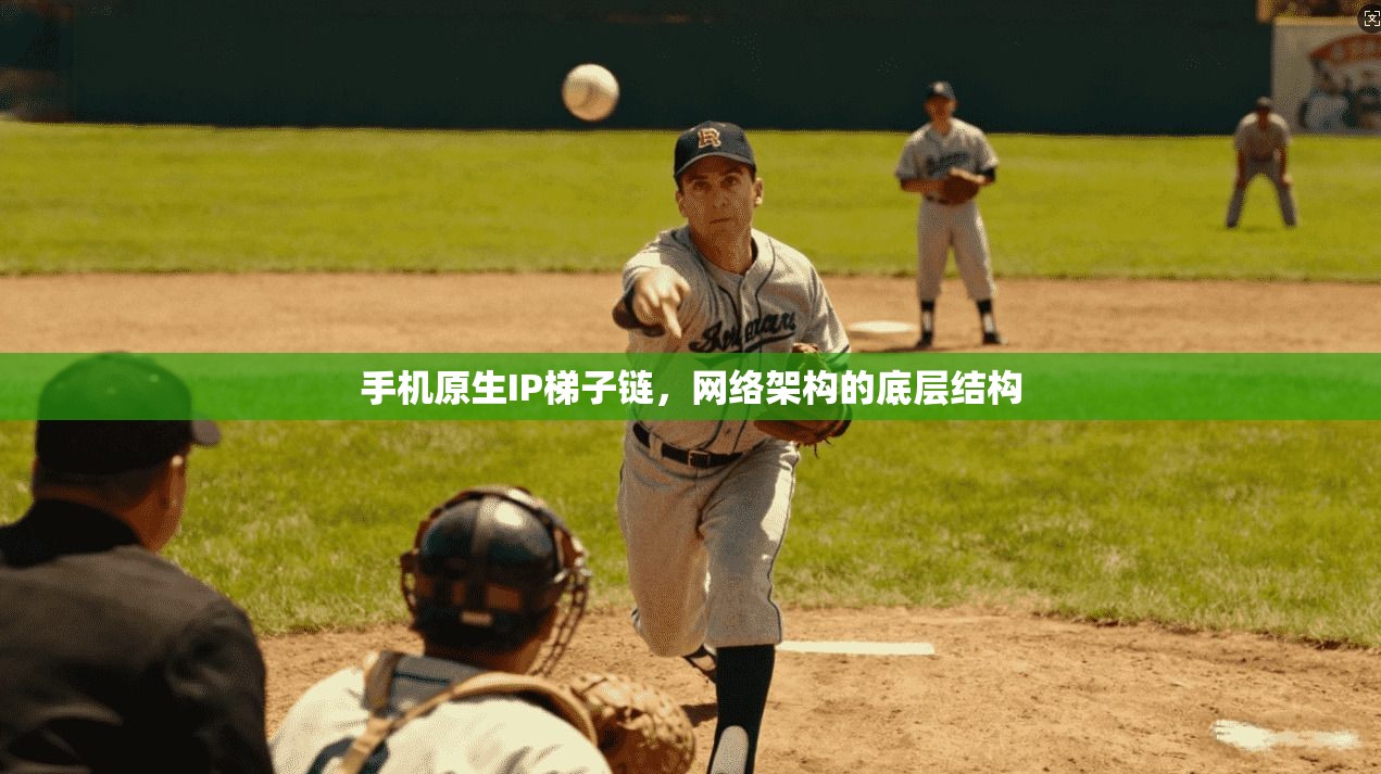 手机原生IP梯子链，网络架构的底层结构  第1张