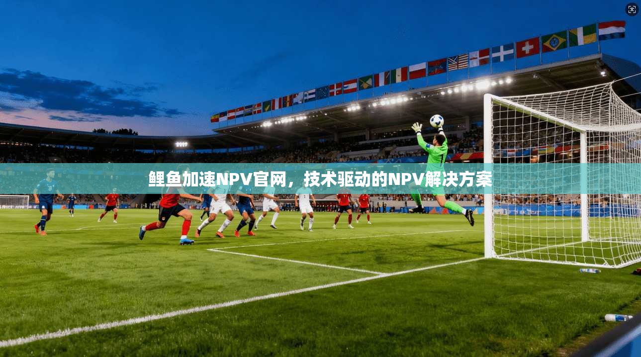 鲤鱼加速NPV官网，技术驱动的NPV解决方案  第1张