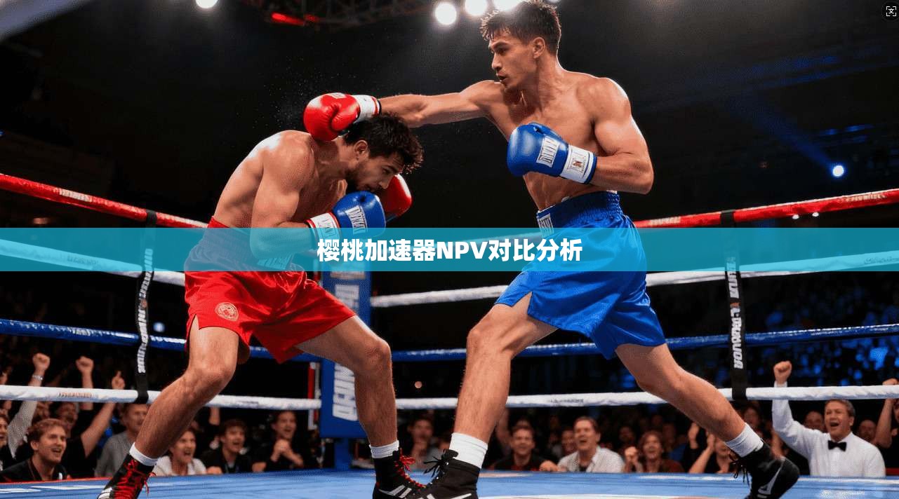 樱桃加速器NPV对比分析  第1张