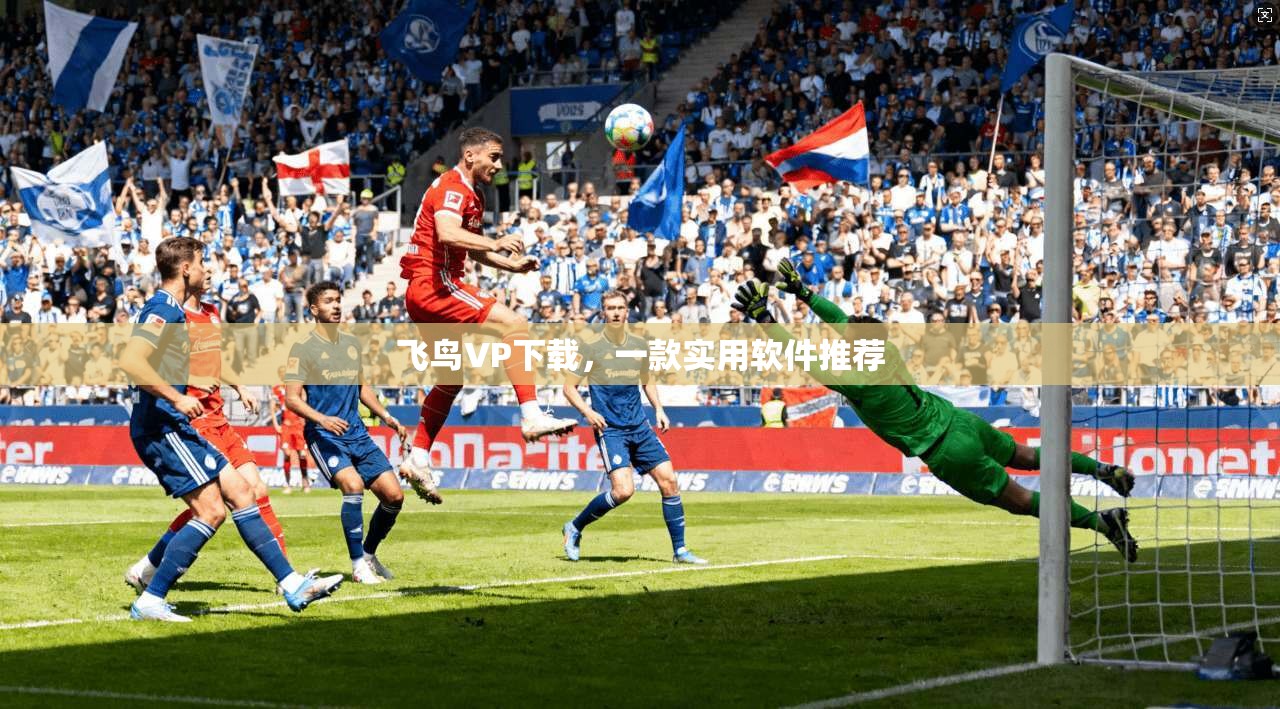 飞鸟VP下载，一款实用软件推荐  第1张