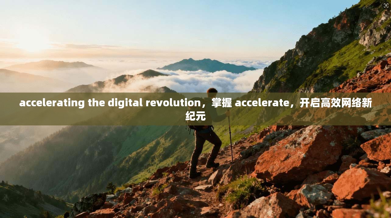 accelerating the digital revolution，掌握 accelerate，开启高效网络新纪元  第1张