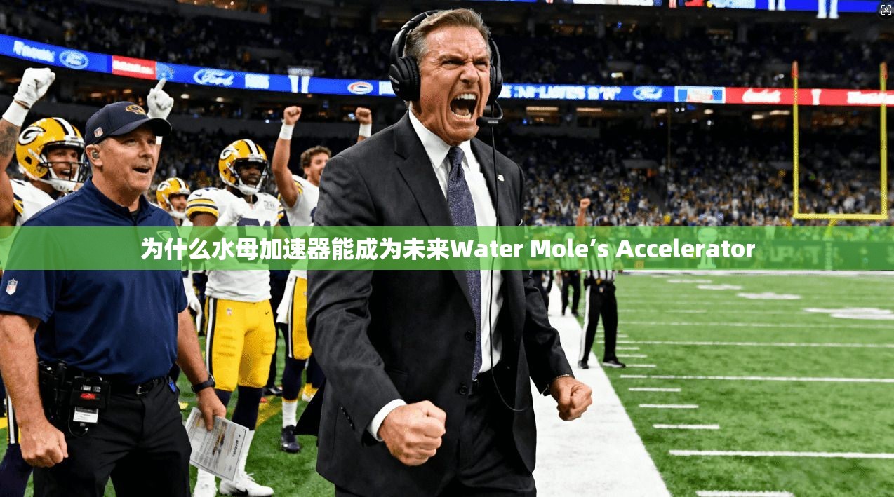 为什么水母加速器能成为未来Water Mole’s Accelerator  第1张