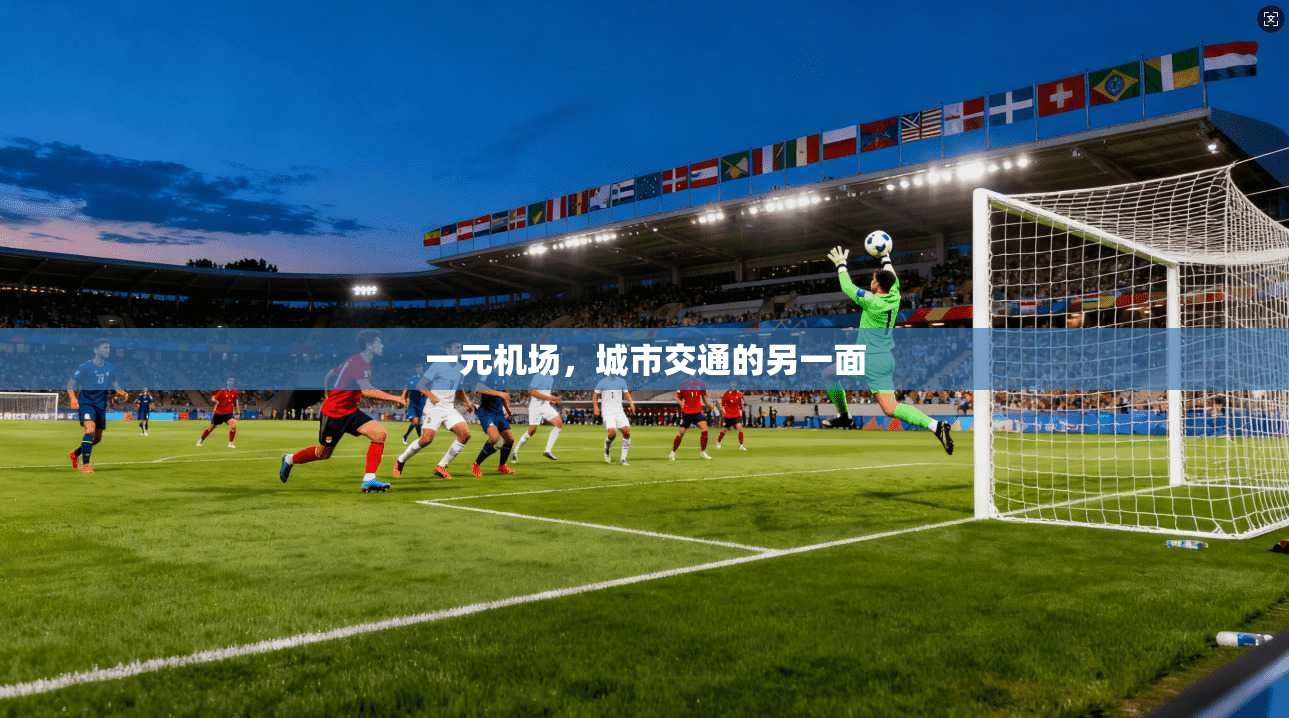 一元机场，城市交通的另一面  第1张