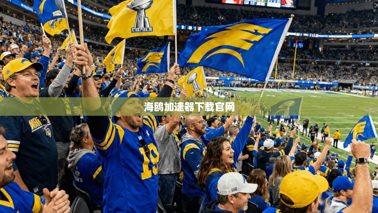海鸥加速器下载官网  第1张