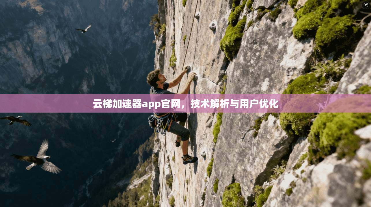 云梯加速器app官网，技术解析与用户优化  第1张
