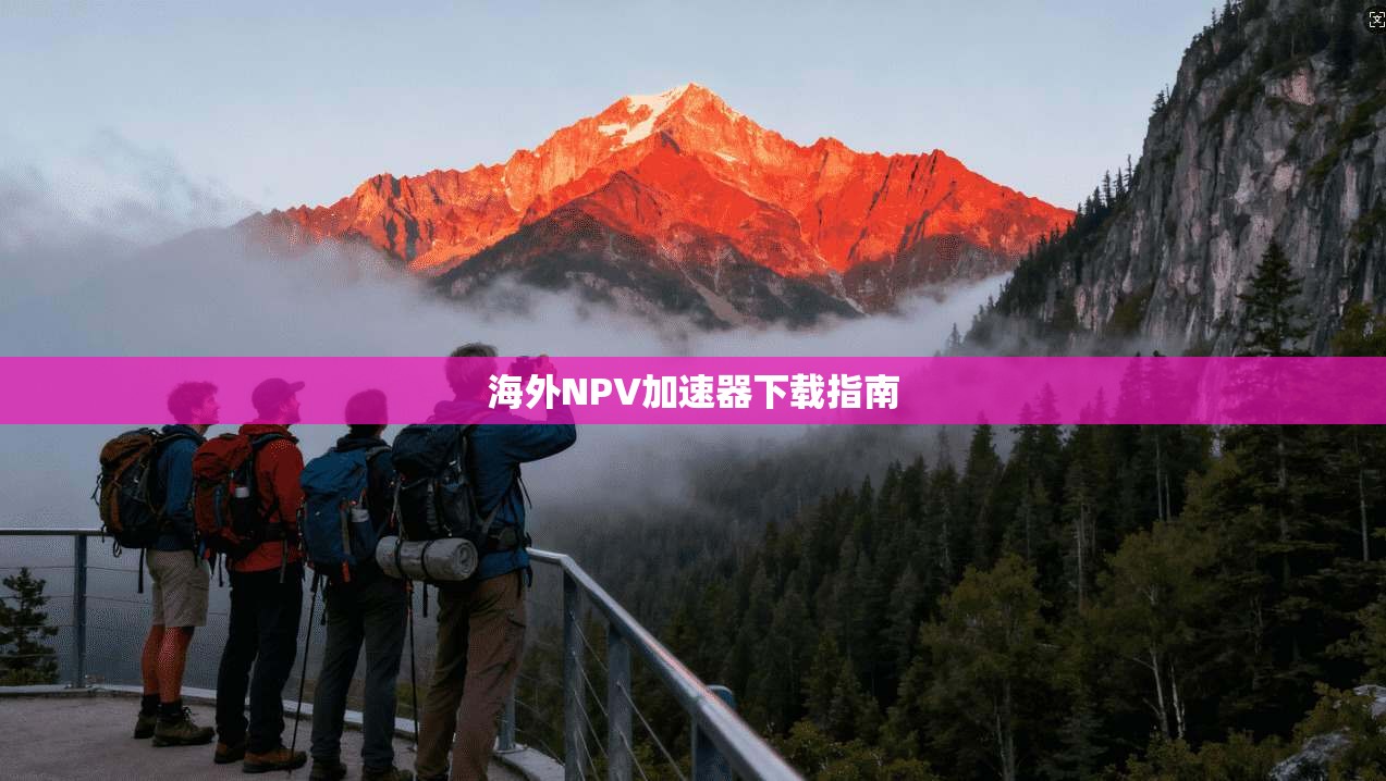 海外NPV加速器下载指南  第1张