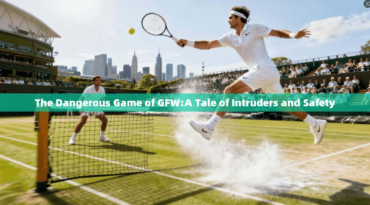 The Dangerous Game of GFW:A Tale Intruders and Safety  第1张